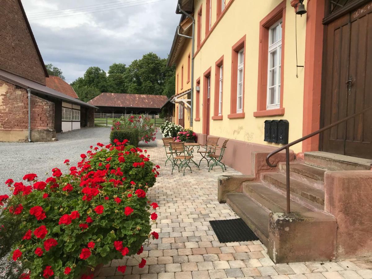 Elegantes Gaesteapartment Verano In Schloss Und Hofgut Langenzell Wiesenbach Eksteriør bilde